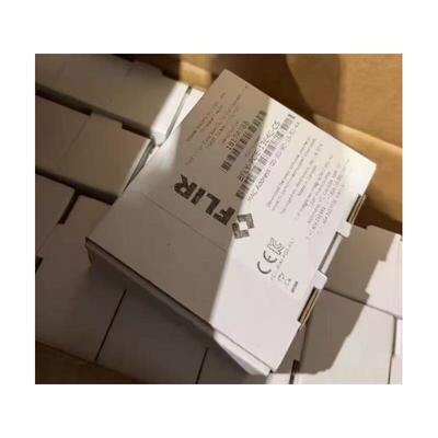 FLIR灰点BY-PGE-13E4CS