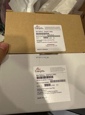 美国Entegris英特格过滤器WG2FT1RR2，全新原装