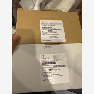 美国Entegris英特格过滤器WG2FT1RR2，全新原装
