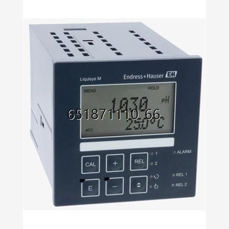 德国E+H恩德斯豪斯CPM22