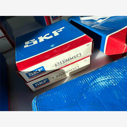 SKF电机轴承6313/AEMC3静