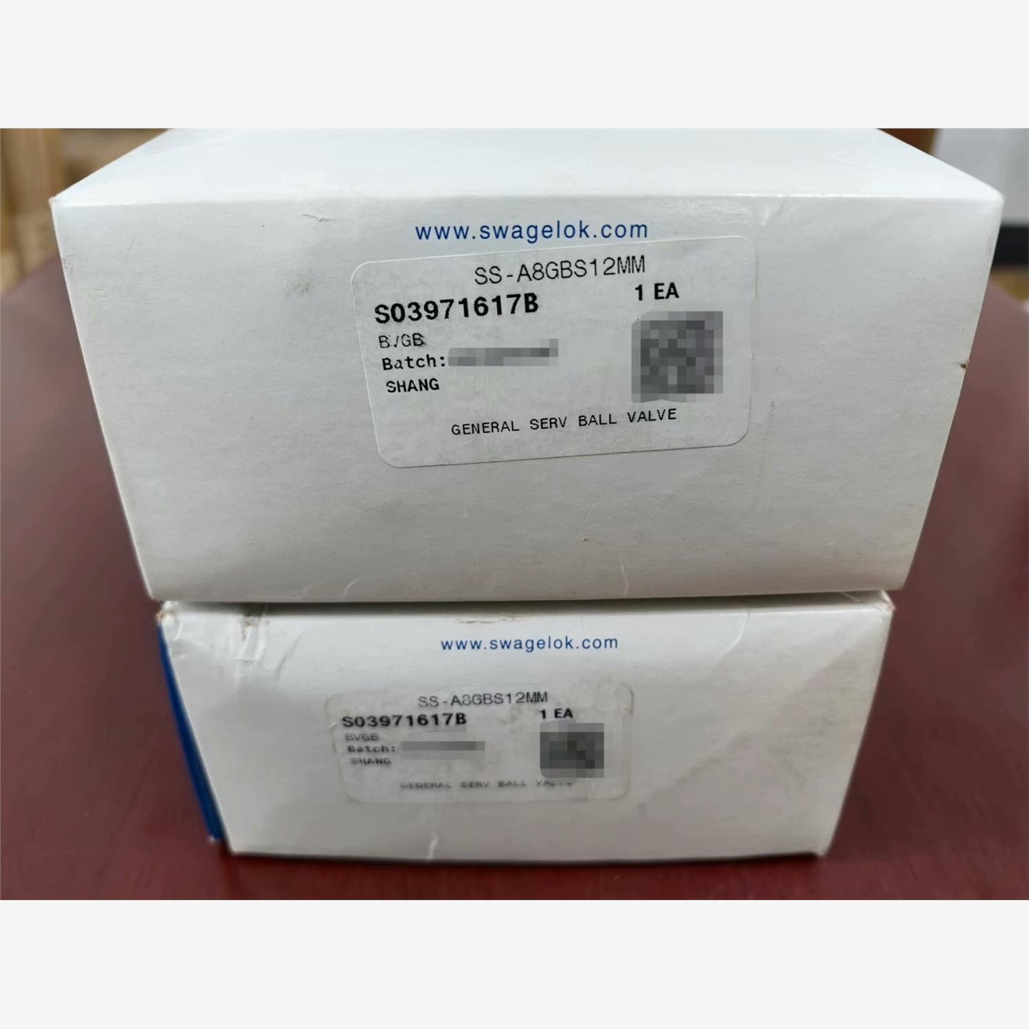 世伟洛克Swagelok-A8GBS1