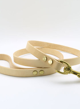 狗狗牵引绳金毛大型犬防咬小狗泰迪狗带牵引带狗链子宠物牛皮用品