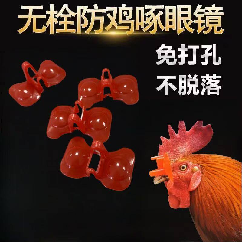 鸡眼镜无栓免打孔鸡眼镜防啄打架无栓新型不穿鼻孔大号鸡眼罩
