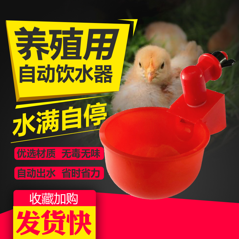 鸽子饮水碗饮水器用品用具鸡鸭鹅 鹌鹑自动饮水器