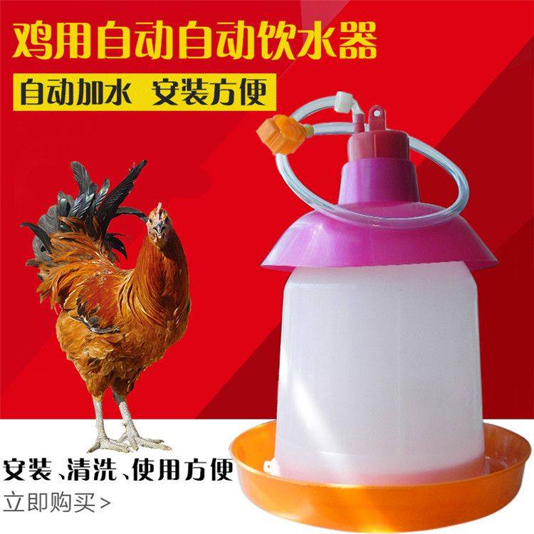 普拉松自动饮水器鸡用喝水壶养鸡鸭鹅喂水器家禽养殖养鸡设备用品,宠物/宠物食品及用品,兔兔饮水器,淘宝优惠券,粉丝福利购,淘宝优惠卷