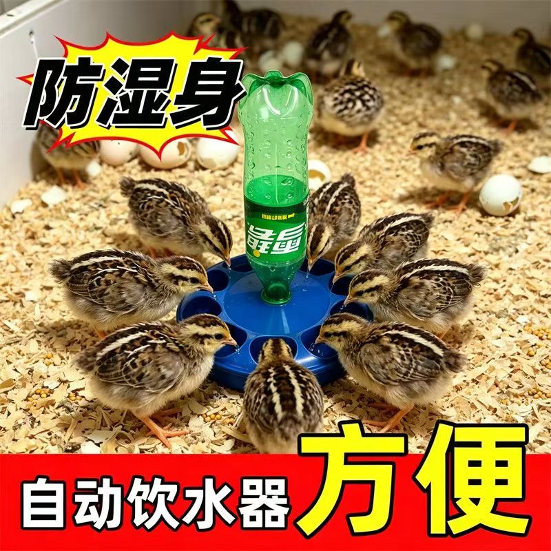 鸽子饮水器水壶信鸽用品鸽用自动喂水器鸽喝水饮水器赛鸽水壶鸽具