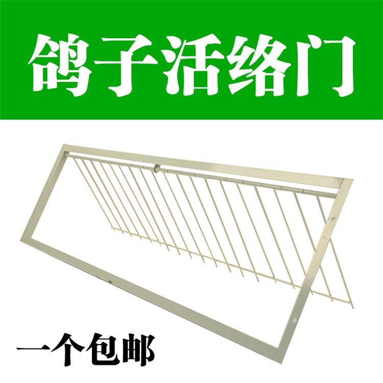 鸽子用品用具鸽子撞门铁活门活络门帘子门信鸽进笼口进门放飞笼