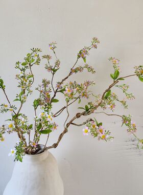 仿真野菊藤枝海棠花假花