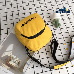 网红质感小包包