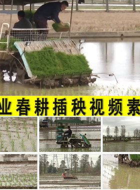 农村农业春耕粮食生产小春大春机器插秧机栽秧水稻种植视频素材