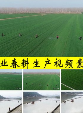 农业春耕小春大春粮食生产作业播种耕田施肥植保现代农业视频素材