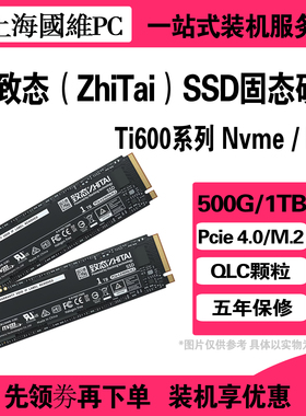 致态（ZhiTai) Ti600 500G 1TB 2TB SSD固态硬盘NVMe M.2 PCIe