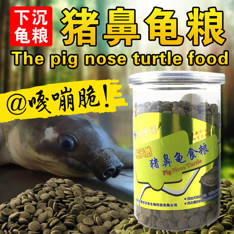 下沉型黄头长颈忍者专用猪鼻龟