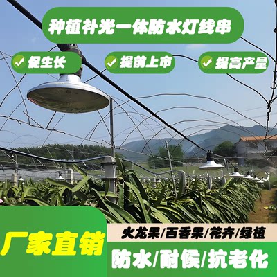 植物补光灯线火龙果百香果菊花蔬果花卉种植补光大棚防水一体灯线