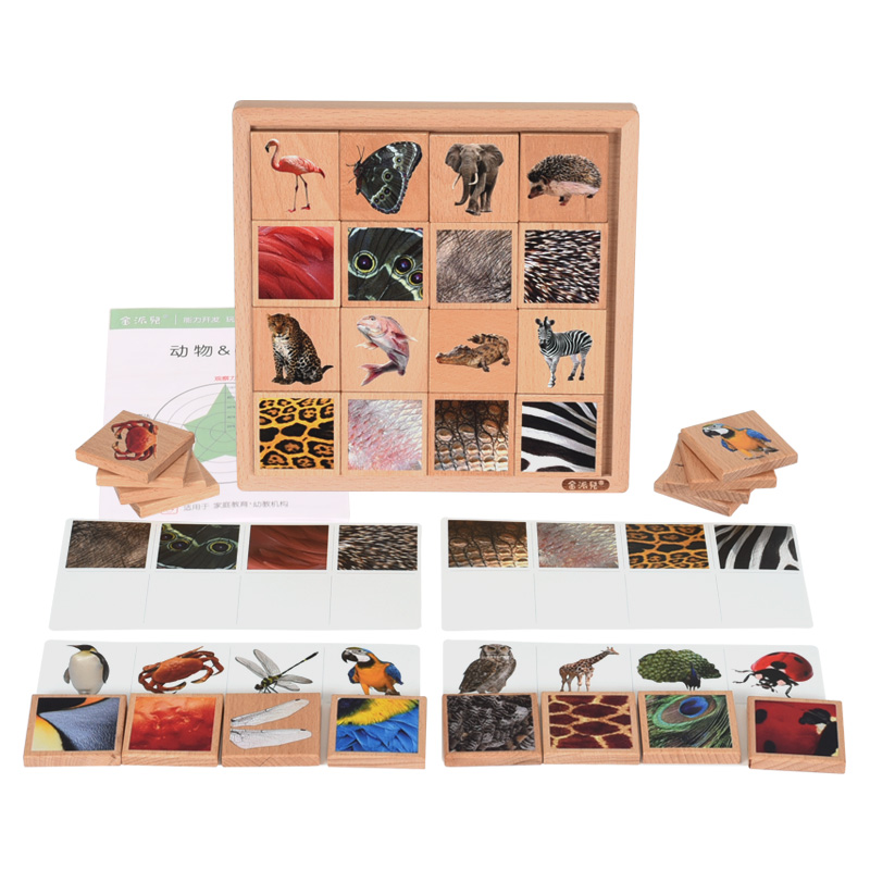 金派儿【动物&外衣】3-6岁观察常识分类语言表达能力全脑教具