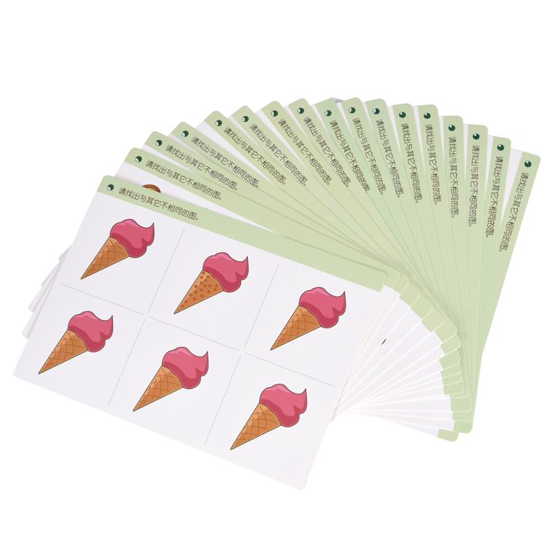 金派儿 【找差异】3-8岁观察分类判断力语言表达能力全脑教具