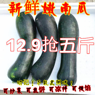 嫩南瓜新鲜蔬菜黑皮南瓜绿窝瓜嫩倭瓜青皮南瓜现摘绿南瓜农家整箱