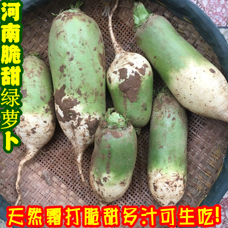 绿萝卜新鲜当季河南青皮萝卜