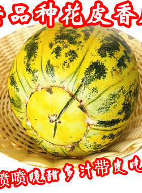 花皮甜瓜新鲜水果花蕾香瓜一整箱