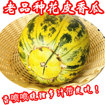 花皮甜瓜香瓜甜瓜八里香花蕾瓜