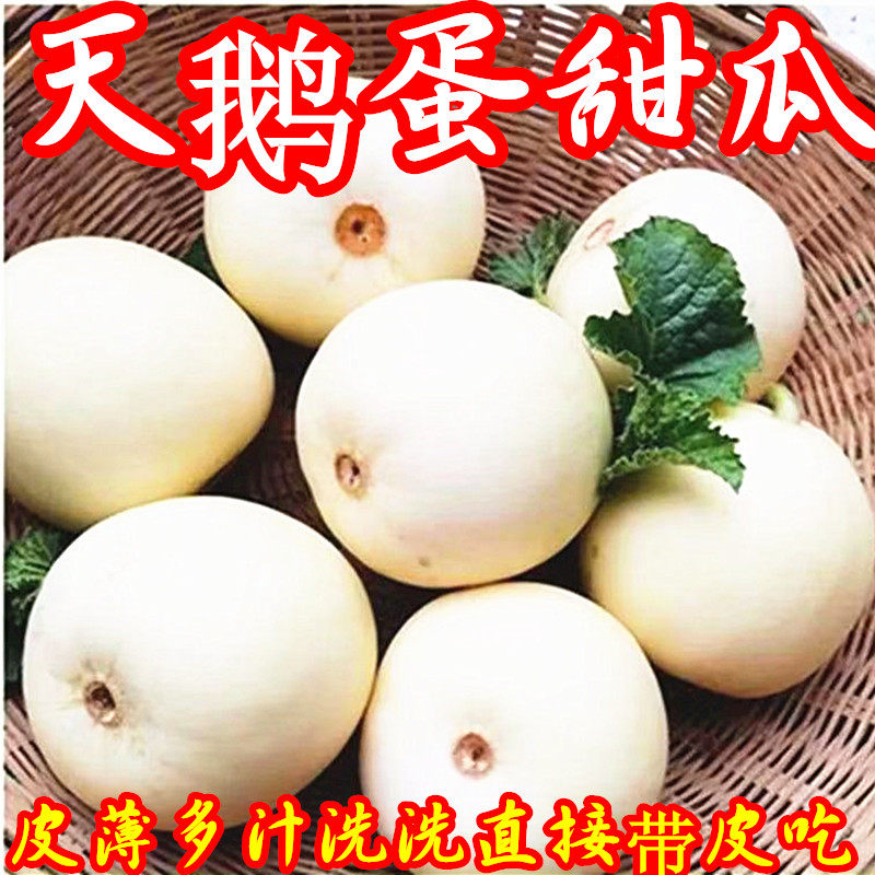 河南小白瓜香瓜甜宝带皮吃薄皮甜瓜梨瓜白皮蜜瓜新鲜水果现摘整箱