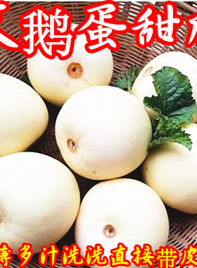 正宗冰糖甜宝甜瓜香瓜梨瓜水果