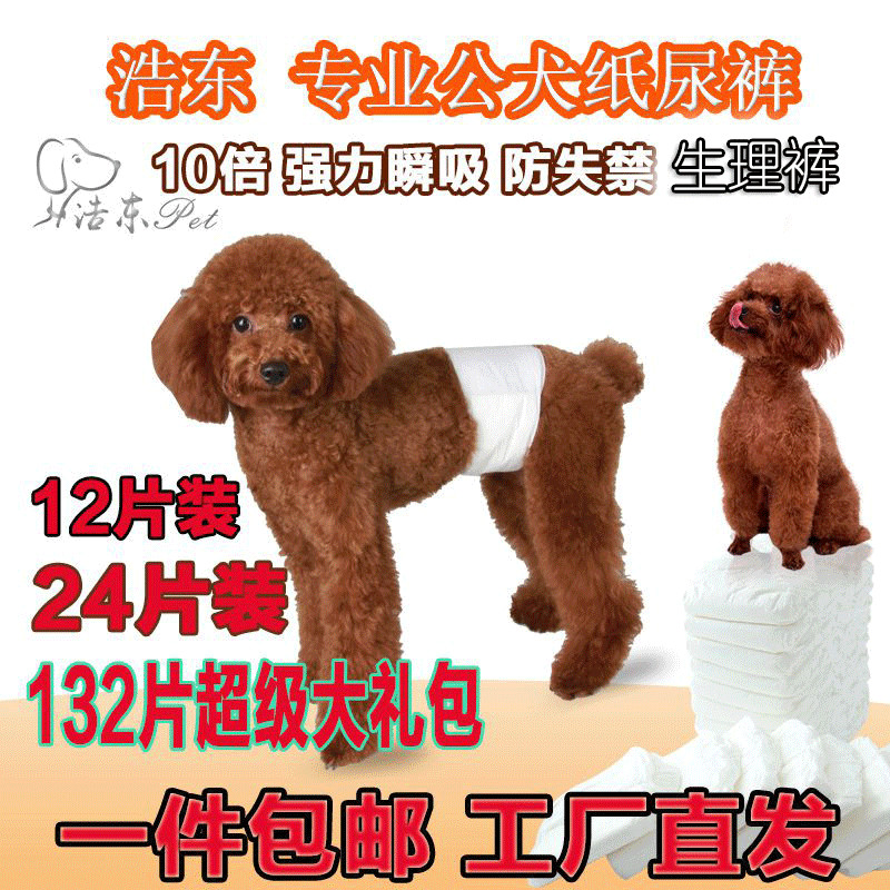 姨媽月經泰迪柯基公狗