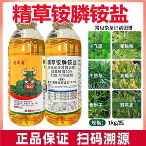 精草铵膦铵盐除草剂果园