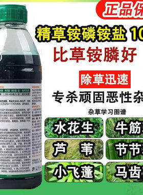 精草铵膦铵盐除草剂果园林间空地荒地顽固杂草恶性牛筋草小飞蓬