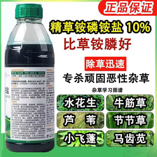 精草铵膦铵盐除草剂果园林间空地荒地顽固杂草恶性牛筋草小飞蓬