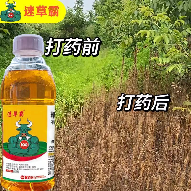 速草霸精草铵膦铵盐除草剂牛筋草恶性杂草果园茶园树林荒地小飞蓬