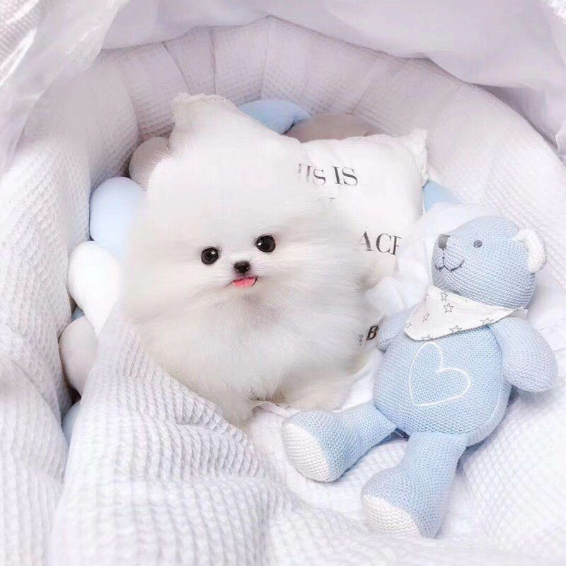 哈希娱乐- 哈希游戏平台- 哈希游戏官方网站黑色金属指数期货分析资讯热点黑色金属大宗商品钢铁行业资讯信息-我的钢铁网