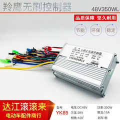 羚鹰48V350W无刷控制器小海豚冰岚电动车三轮车48V350W控制器