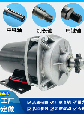 羚鹰24V36V48V500W800W电动车 改装三轮车永磁减速有刷电机马达