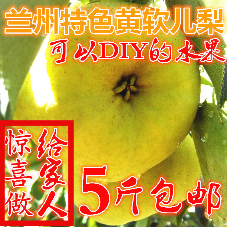 甘肃农产品兰州黄软儿梨DIY冻梨香梨新鲜水果梨冬巴梨非东北梨3斤