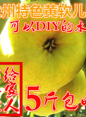 甘肃兰州冻梨diy新鲜非东北冻梨