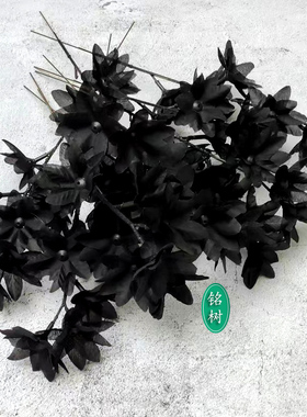 黑兰花仿真假绢人造花万圣萝莉客厅居家摆设酒吧哥特暗黑单支婚礼