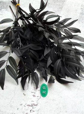 暗黑仿真桉树叶排草树枝雨林盆栽热带道具干塑料绢假植物黑色假草