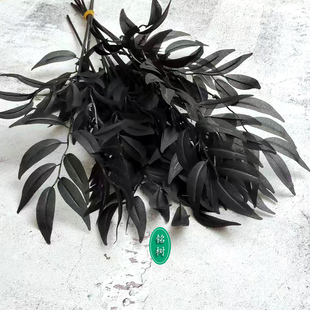 暗黑仿真桉树叶排草树枝雨林盆栽热带道具干塑料绢假植物黑色假草