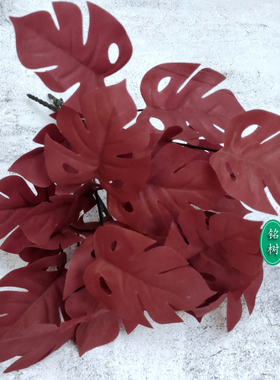 暗红仿真龟背叶排草树枝雨林盆栽热带道具干塑料绢假植物红色假草