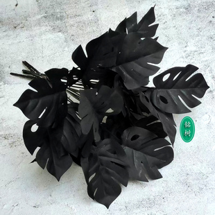 暗黑仿真龟背叶排草树枝雨林盆栽热带道具干塑料绢假植物黑色假草