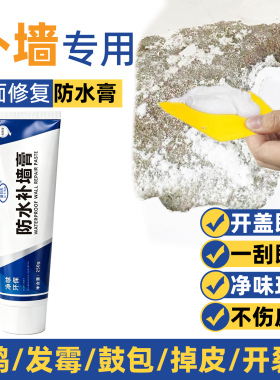 补墙膏墙面修补白色修复神器防水防潮防霉腻子膏墙壁裂缝涂鸦遮盖