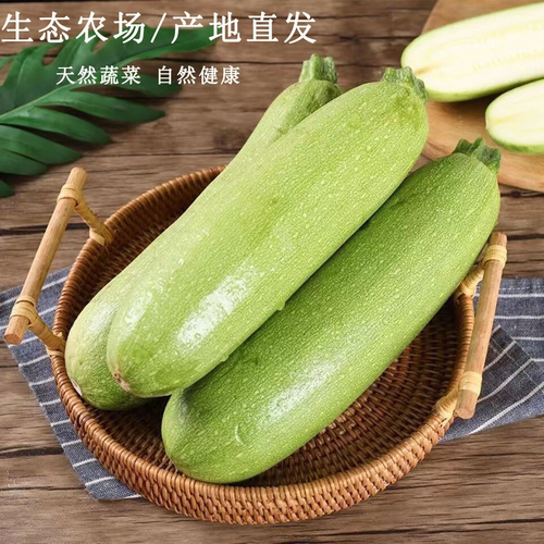 农场自制果蔬酵素种植西葫芦
