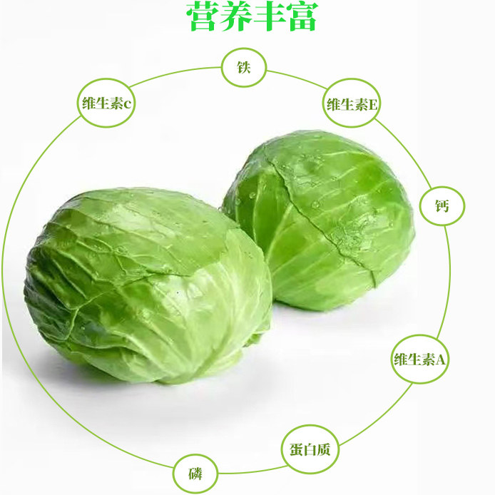 沂蒙荟馨园自制果蔬酵素发酵肥种植甘蓝卷心菜无农药化肥顺丰到家