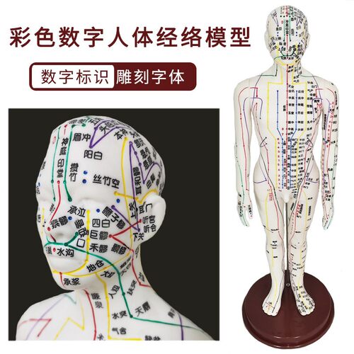 针灸模型穴位人体经络铜人