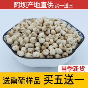 四川阿坝正品 川贝母中药材非松贝粉野生咳嗽尖贝新货买五送一50克