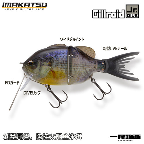 imakatsu新品GILLROIDJR.DIVE