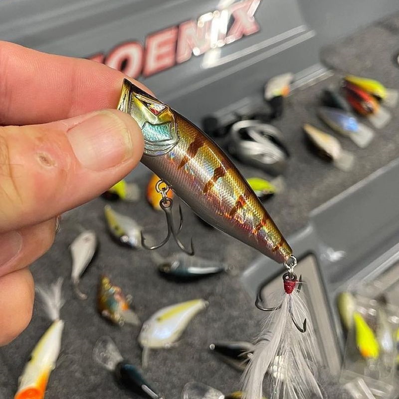 精美涂装路亚波爬硬饵ARK