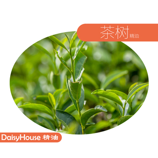 单方精油 芳疗级茶树精油 控油去痘 10ml热卖 法国进口